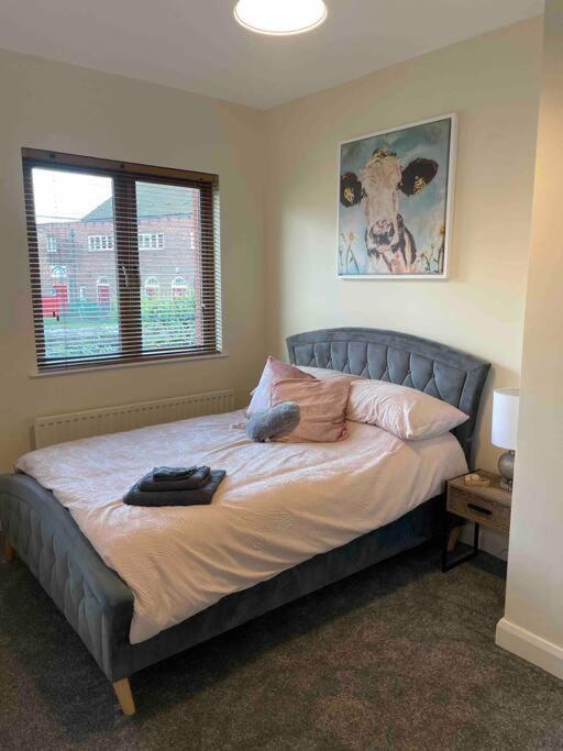 Close To Belfast City Centre.Modern Opened Planned Zewnętrze zdjęcie