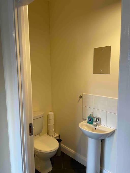 Close To Belfast City Centre.Modern Opened Planned Zewnętrze zdjęcie