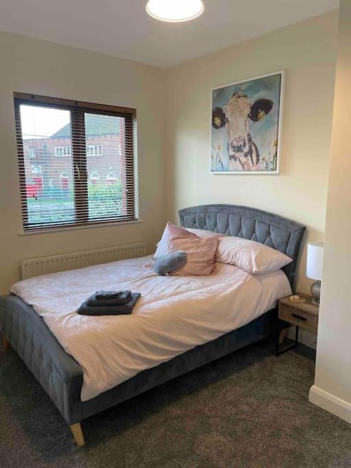 Close To Belfast City Centre.Modern Opened Planned Zewnętrze zdjęcie